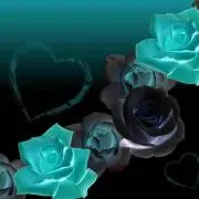 Roseの画像