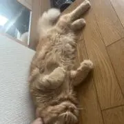 kensun.aの画像