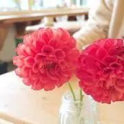 ゆち☆匿名配送☆の画像