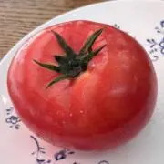 湯の画像