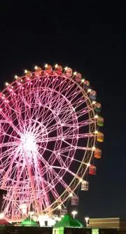 TMRY　定期的に値下げしてます(^^)の画像