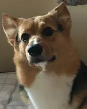 みな