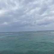 Reusの画像