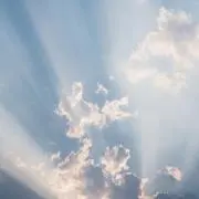 とらのちゅけの画像