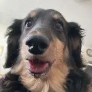 choco0421の画像