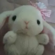 こうさぎ☆匿名配送☆の画像