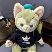 きょうちゃんの画像