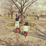 あやももの画像