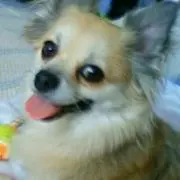 rickeyの画像