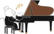 stevenの画像