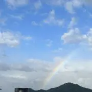 こってぃ