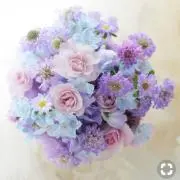 ぽん
