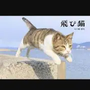 しおちゃん