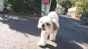 DAANの画像