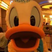 りーちゃんの画像
