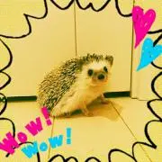ゆりまる