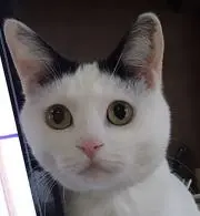 MNRの画像