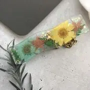 DoriMokoの画像