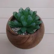 ひろっぺ