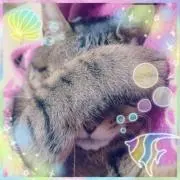 もけもけ
