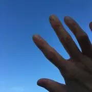 こころ