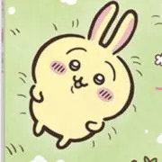 たくあんの画像