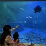 73〜ママ毎日発送の画像