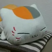 Li@プロフ記載