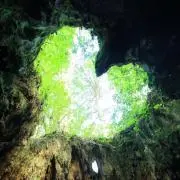 サスティナ⭐︎の画像