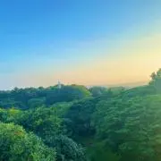 小野寺の画像
