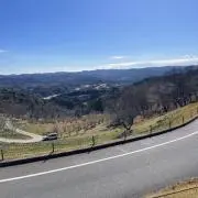 ariyaの画像