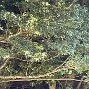 by