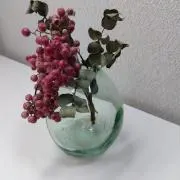 mignonの画像