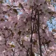 にゃん先生♡