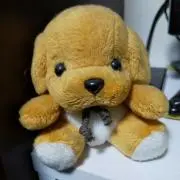 ケン