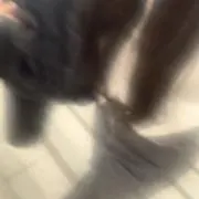 2の画像