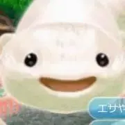 まきびし