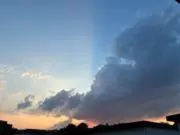 ハネ