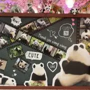 claraの画像