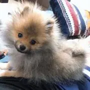 かずぅ