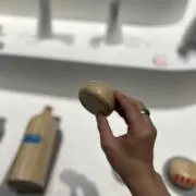 やすの画像