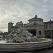 インディゴの画像