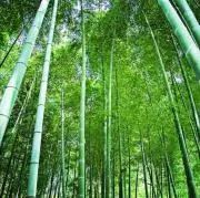 ぐりんりん(^o^)