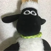 ぶうの画像