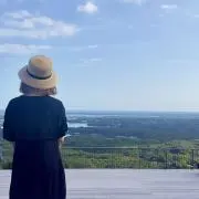 ぽん。の画像