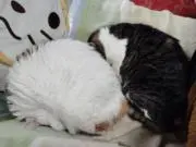 utew0303の画像