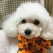 セイ プロフィール読んで下さいね