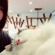 まるまるの画像