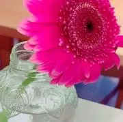 pico.の画像