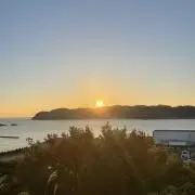 ぽての画像